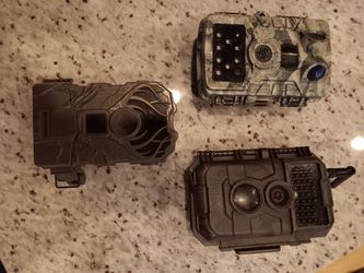 Trail Cameras 