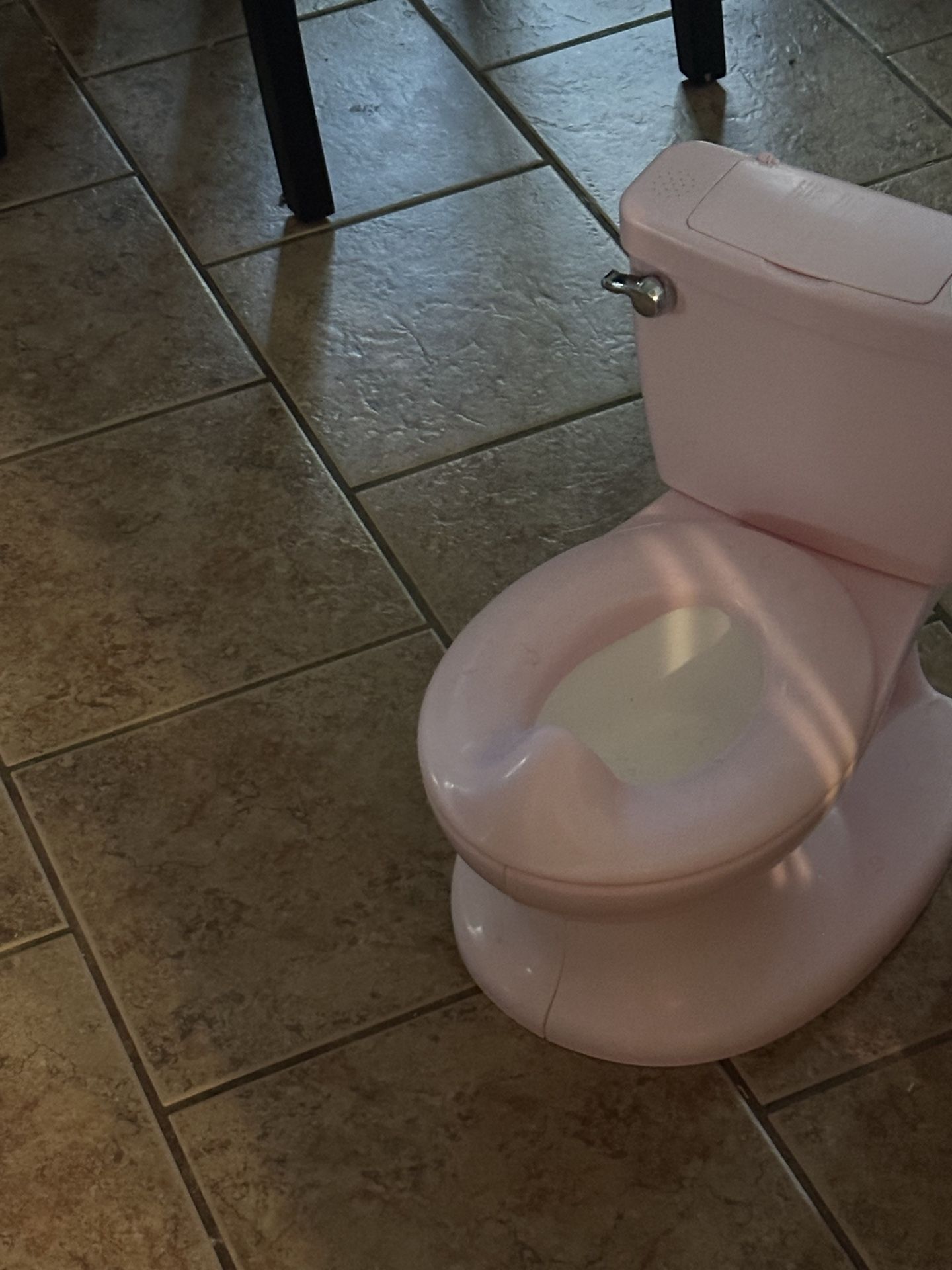 Toddler Potty Pink Chair