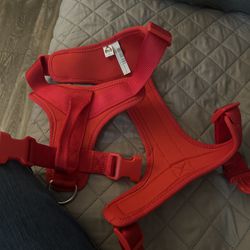 Dog collar+ harness