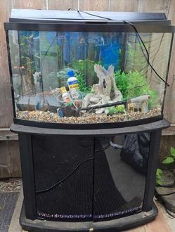 All-Set Aquarium Package - Discover Water World Magic sing one