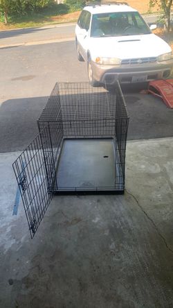 XL Collapsible Dog Crate