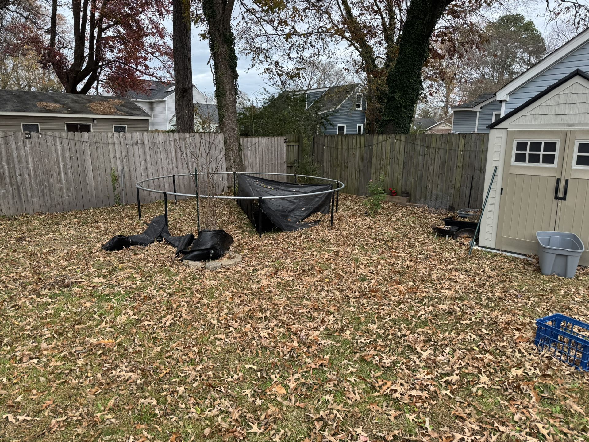 Free Trampoline