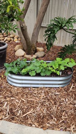 Bulk Delivery Of Mulch, Compost & Dirt