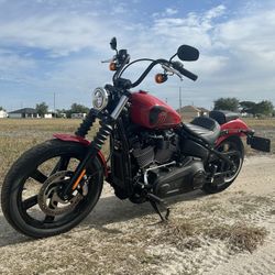 2023 Harley-Davidson Street Bob