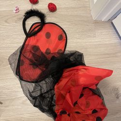 Lady Bug Costume