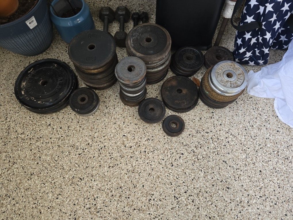 Assorted Standard Size Weight Plates