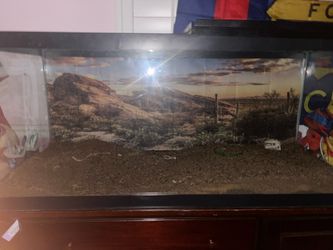 75 gallon tank