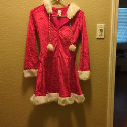Mrs SANTA dress 