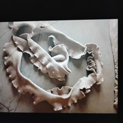 A  Nice & Sexy  Tan Women's Ruffled Scarf 