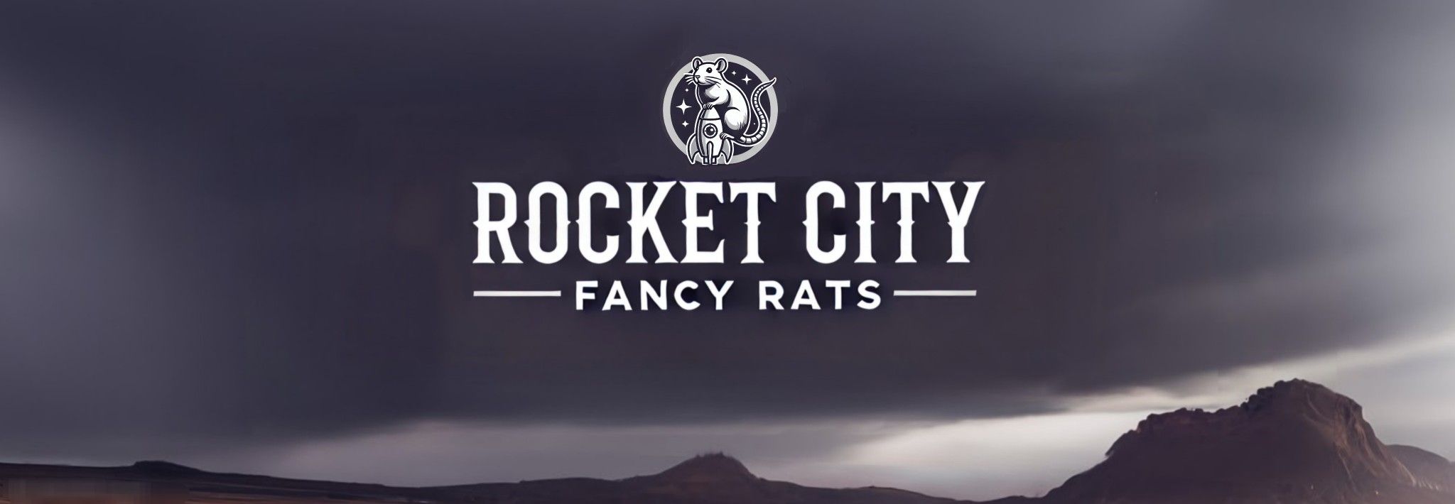 Fancy Rat "Information"