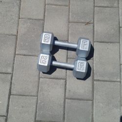 20LB Dumbbell 