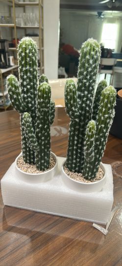 Artificial Cactus Small Fake Succulents Ceramic Plant for Home, Office, Kitchen, Living Room, Desk, Shelf, and Indoor Dec- 2packs