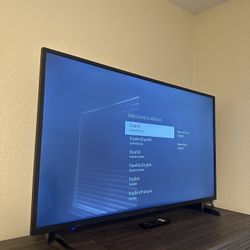 Insignia Smart TV