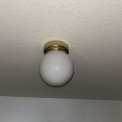 Ceiling Globe Light 