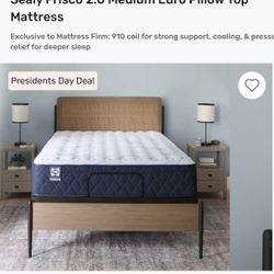 Sealy Queen Mattress - Brand New 
