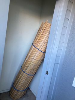 Bamboo fence