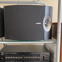 Speaker 301 V