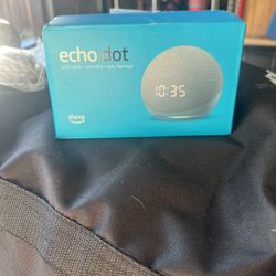 Echo Dot 