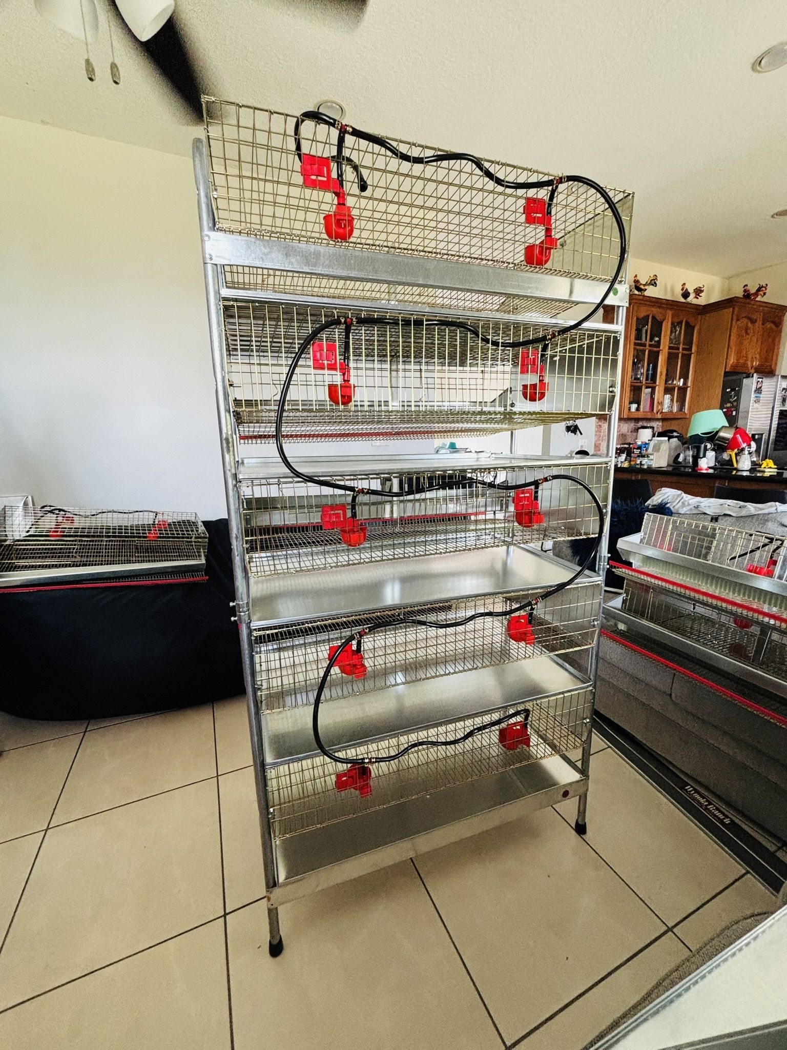 2 new commercial quail cages hold 100 quail, 2 jaulas comerciales de codornices que cabe 100 quail