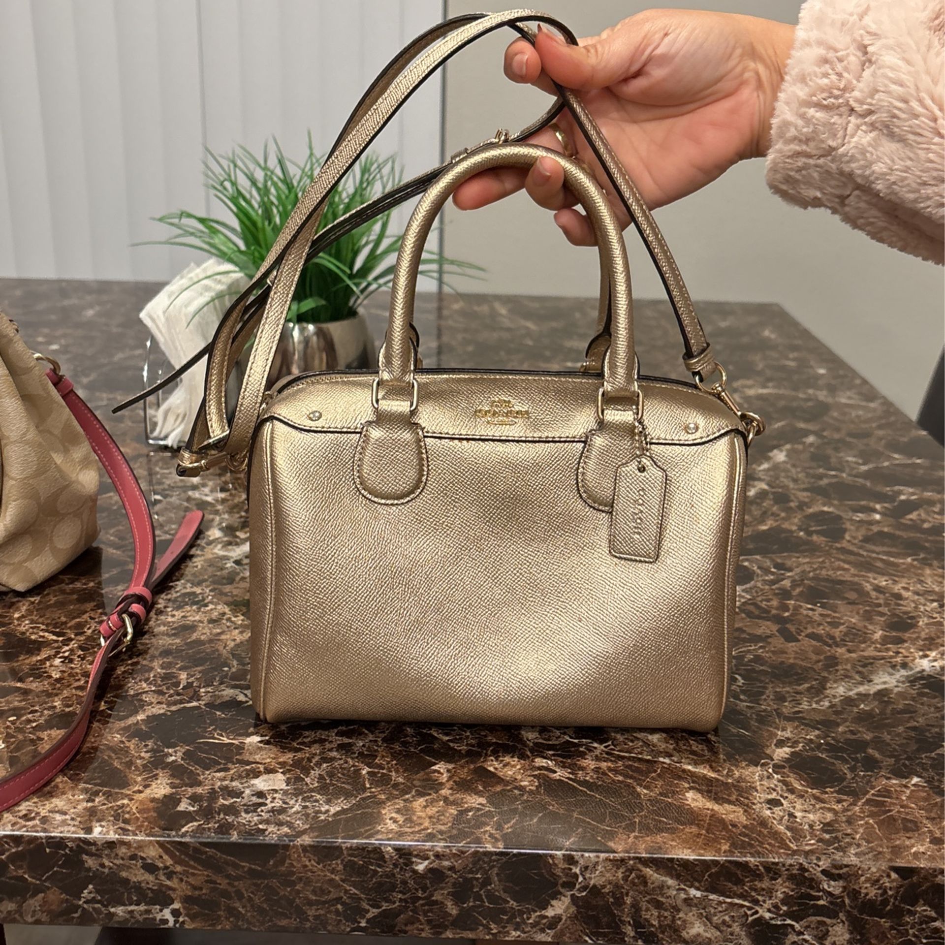 Coach Mini Purse