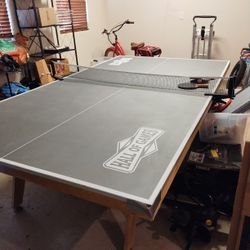 Heavy Duty Ping Pong Table 