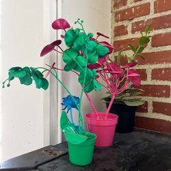 Painted Plants