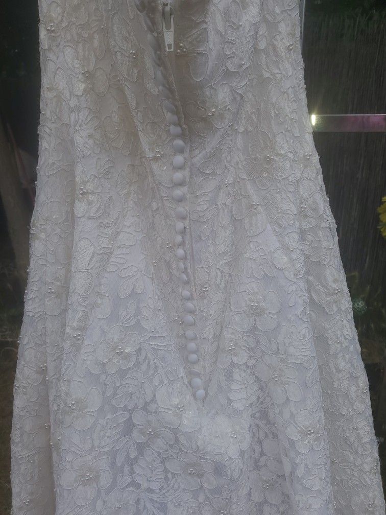 Bridal Gown