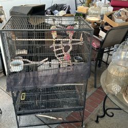 Bird Cage