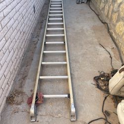 16 Ft. Werner Ladder