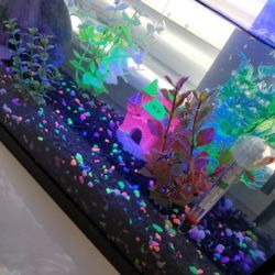 10 Gallon Fish Tank  With Glow Fish Decorations