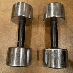 Reebok 20 Lbs Weights 