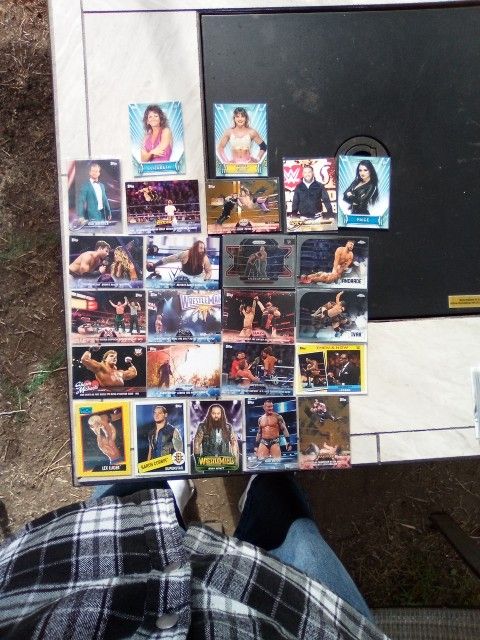 Wrestling Cards