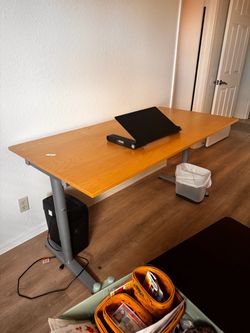 IKEA Desk w/ adjustable computer stand and chair mat