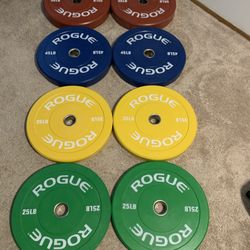 ROGUE Color Echo Bumper Plates - 320 Pound Set