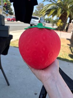 Strawberry Squishy
