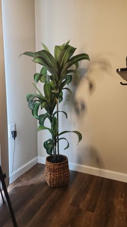 Faux Plant