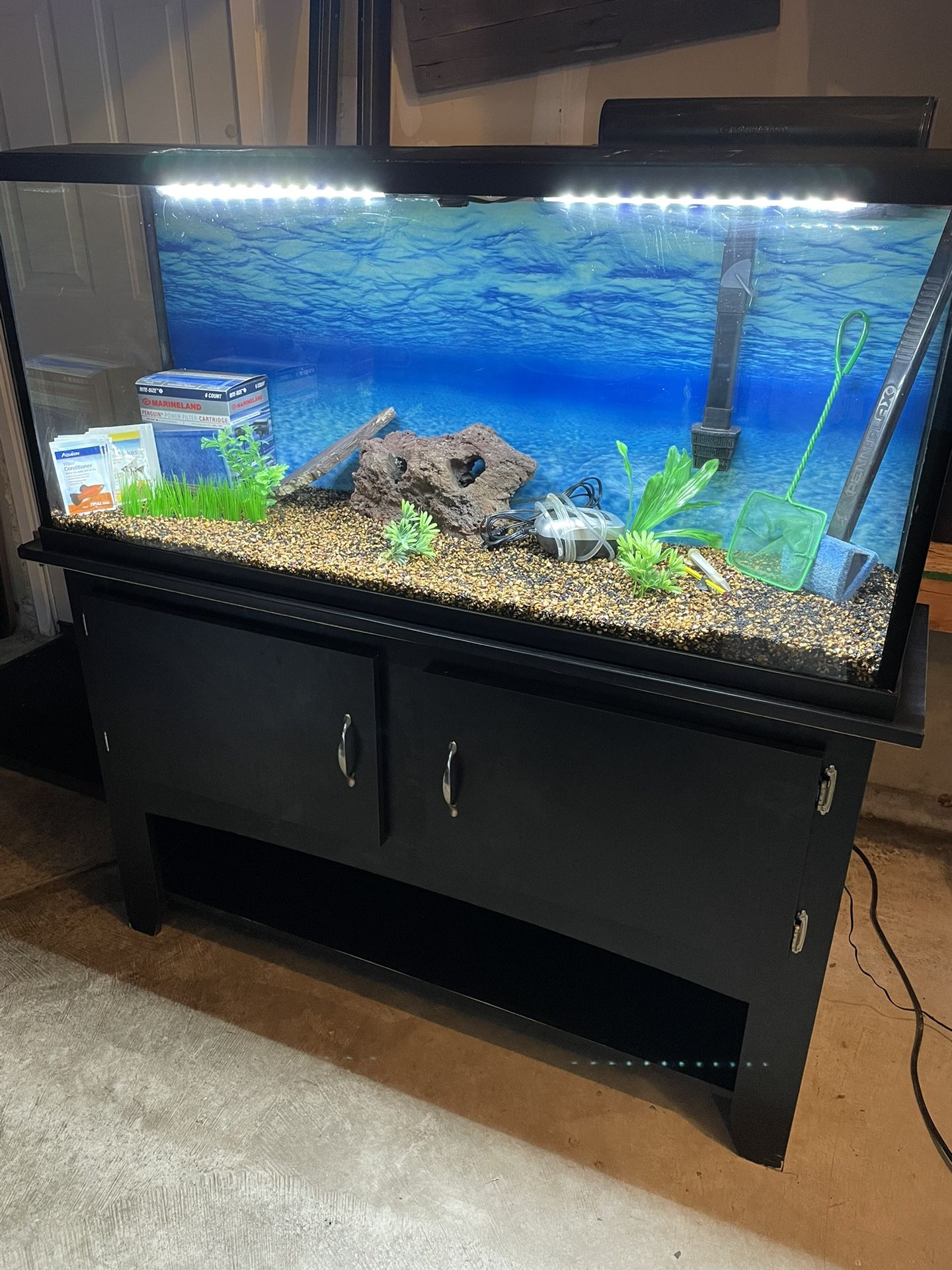 55 Gallon Aquarium Fish Tank