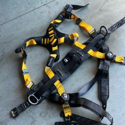 Fall protection harness