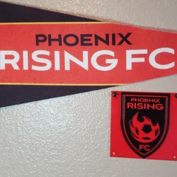 Phoenix Rising Wall Hanger