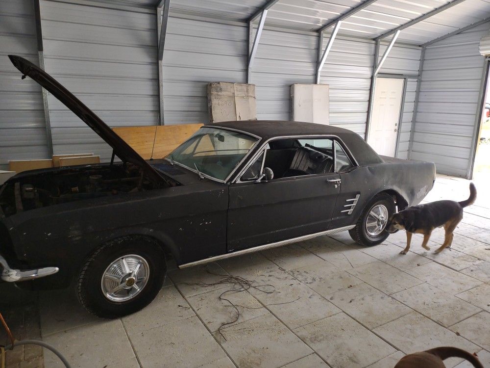 1966 Ford Mustang