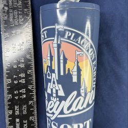 Disneyland Resort Tumbler 22oz 650mL Straw Cup NWT
