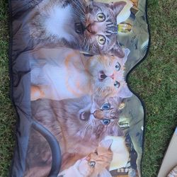 Cat Windshield Sunshade