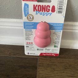 Kong Dog Treat
