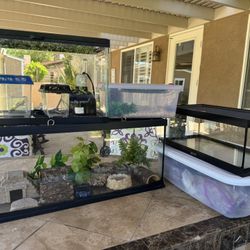 Reptile Cages And Supply Bundle 