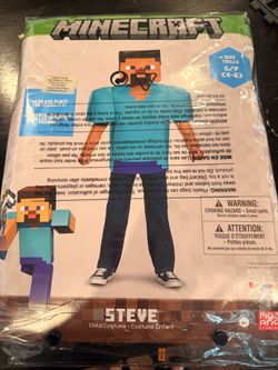 Minecraft costume