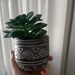 Aesthetic mini faux succulent 🌿 $10 