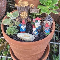 Gnome Garden