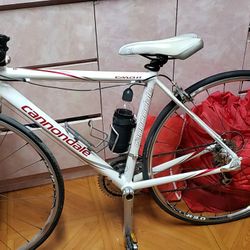 Cannondale 