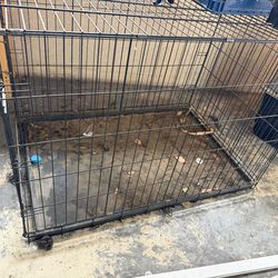 Large dog kennel