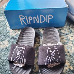RIPNDIP Slide